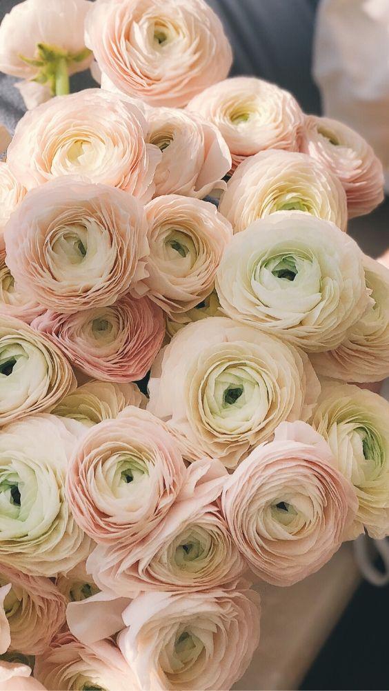 Corporate meeting room with carefully timed floral arrangements that maintain elegance throughout business hours